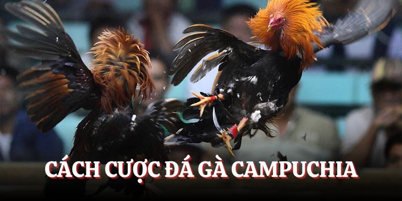 Quy trình tham gia đầu tư nhanh chóng