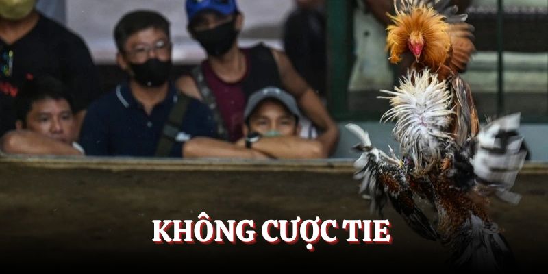 Không chọn vào tiền ở cửa Tie vì khó thắng