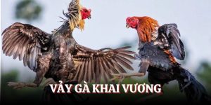 Tìm hiểu vảy gà Khai vương cùng chuyên gia nhà cái BJ88