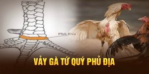Vảy gà Tứ Quý Phủ Địa tổng hợp cách chăm sóc từ chuyên gia BJ88